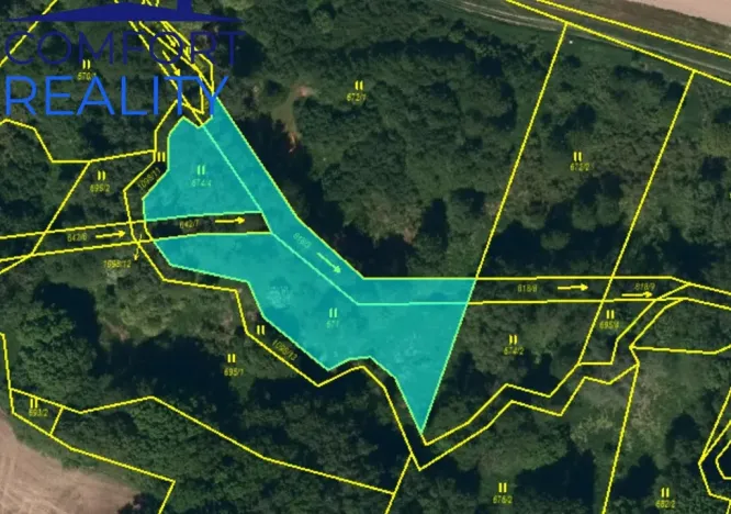 Prodej rybníku, Dolní Lhota, Na Břížku, 1632 m2