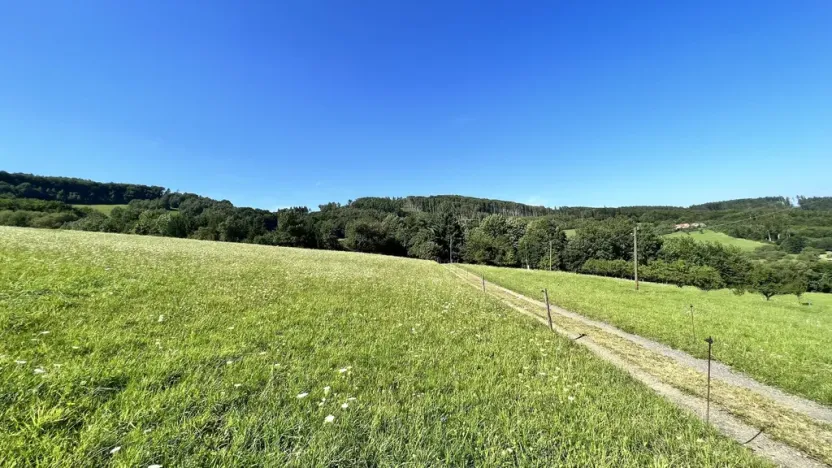 Prodej pozemku pro bydlení, Vyškovec, 5950 m2