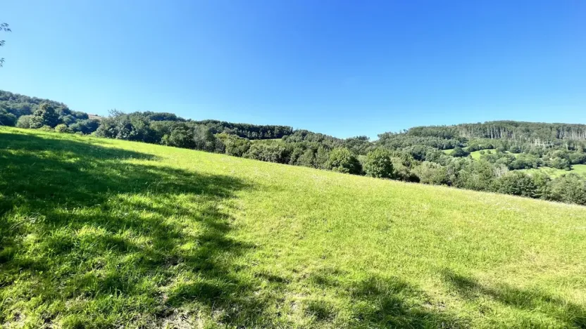 Prodej pozemku pro bydlení, Vyškovec, 5950 m2