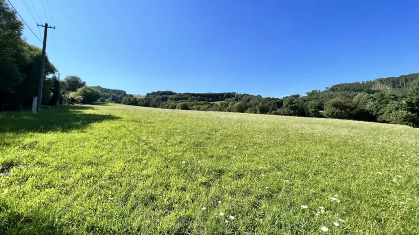 Prodej pozemku pro bydlení, Vyškovec, 5950 m2