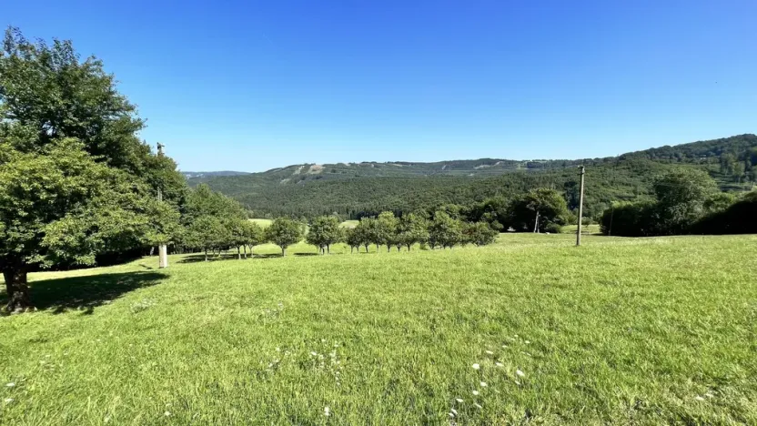 Prodej pozemku pro bydlení, Vyškovec, 5950 m2