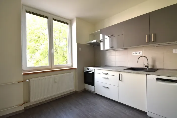 Pronájem bytu 2+1, Plzeň - Východní Předměstí, Krejčíkova, 62 m2