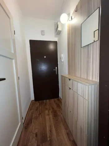 Pronájem bytu 1+kk, Ostrava - Zábřeh, Svazácká, 24 m2