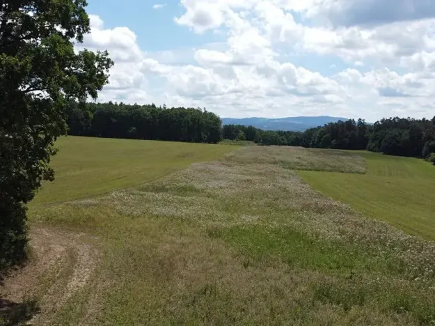 Dražba pole, Luhačovice, 23500 m2