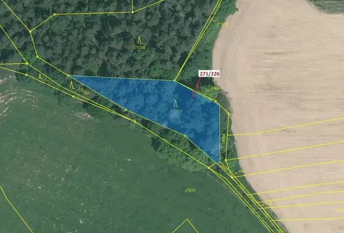 Dražba lesa, Milavče, 1643 m2