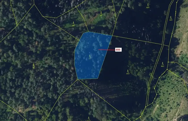 Dražba lesa, Žďárec, 2813 m2