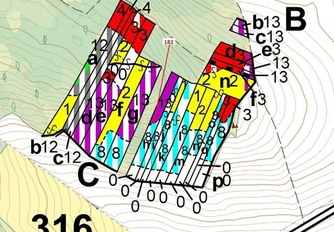 Dražba lesa, Klučov, 2665 m2