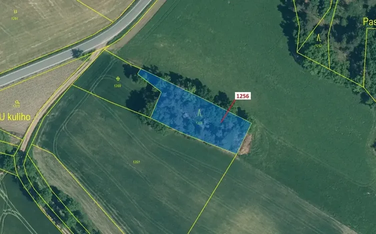 Dražba lesa, Hradiště, 1284 m2