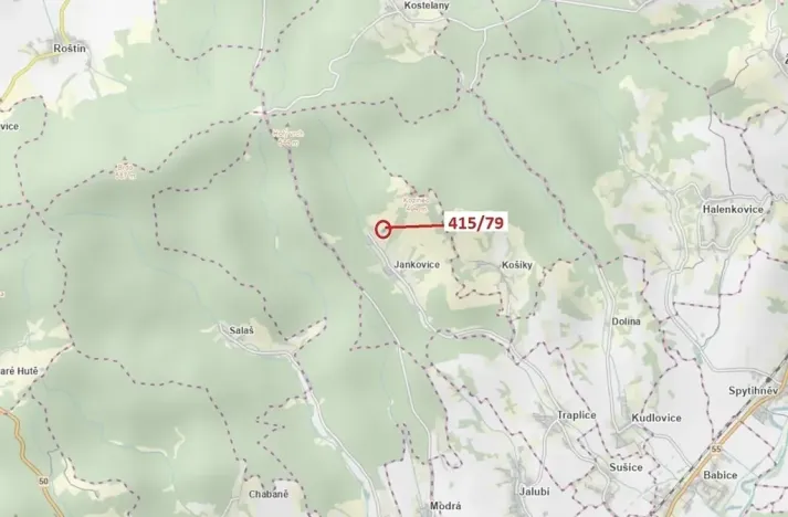 Dražba louky, Jankovice, 2523 m2