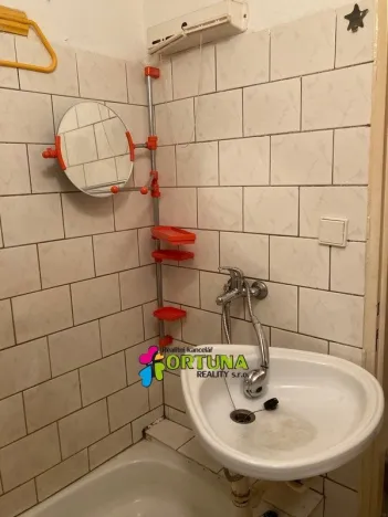 Pronájem bytu 1+kk, České Budějovice, El. Krásnohorské, 30 m2