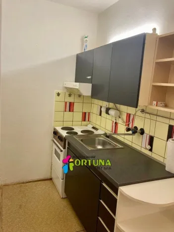 Pronájem bytu 1+kk, České Budějovice, El. Krásnohorské, 30 m2