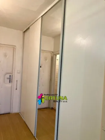 Pronájem bytu 1+kk, České Budějovice, El. Krásnohorské, 30 m2