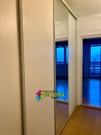 Pronájem bytu 1+kk, České Budějovice, El. Krásnohorské, 30 m2