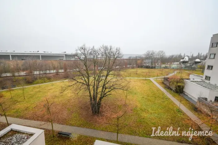 Pronájem bytu 2+kk, Brno, Kigginsova, 61 m2