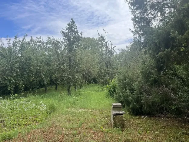 Pronájem sadu/vinice, Praha - Točná, Ke starému hřišti, 3842 m2