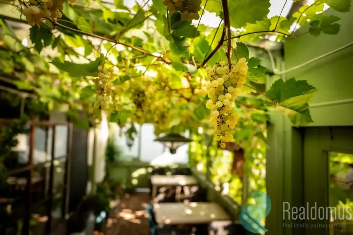 Pronájem restaurace, Protivín - Chvaletice, 320 m2