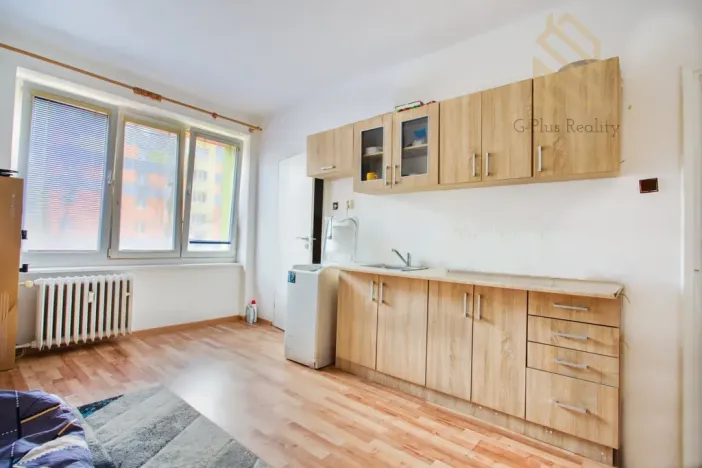 Prodej bytu 1+kk, Most, Františka Halase, 21 m2