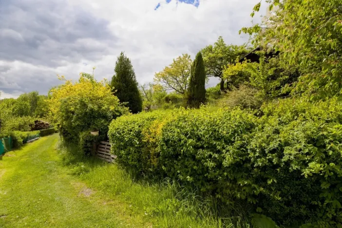 Prodej chaty, Děčín - Děčín VI-Letná, 544 m2