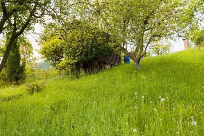 Prodej chaty, Děčín - Děčín VI-Letná, 544 m2