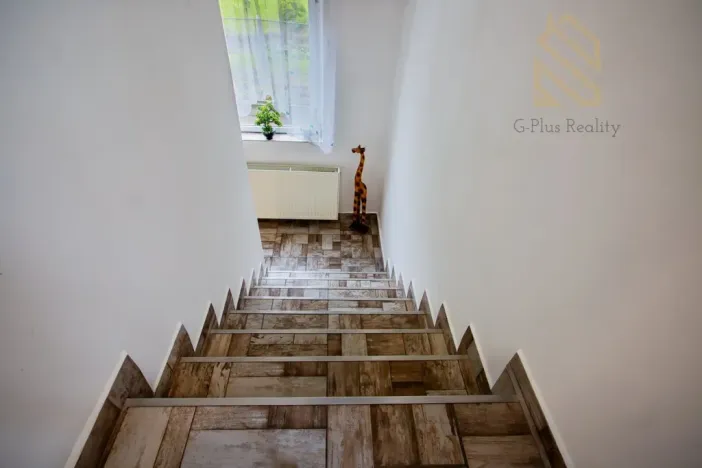 Prodej rodinného domu, Ústí nad Labem - Ústí nad Labem-centrum, Hostovická, 725 m2