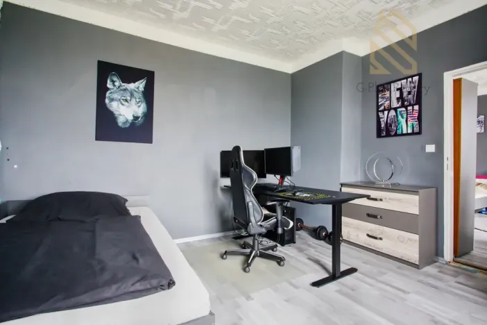 Prodej rodinného domu, Ústí nad Labem - Ústí nad Labem-centrum, Hostovická, 725 m2