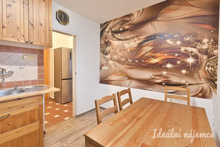 Pronájem bytu 1+1, Brno, Sibiřská, 28 m2