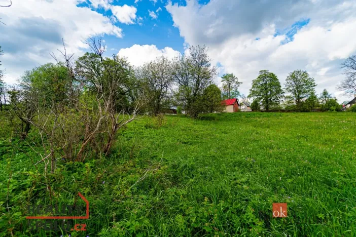 Prodej pozemku pro bydlení, Horní Blatná, Hamerská, 9951 m2