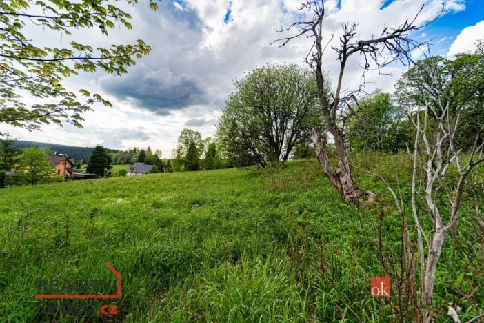 Prodej pozemku pro bydlení, Horní Blatná, Hamerská, 9951 m2