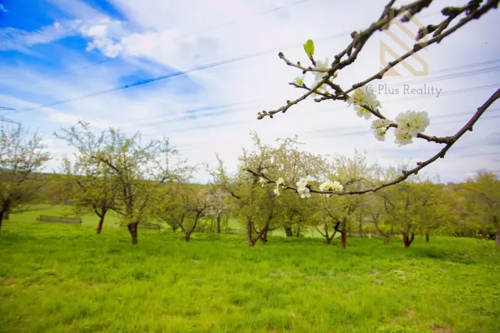 Prodej zahrady, Smolnice, 2370 m2