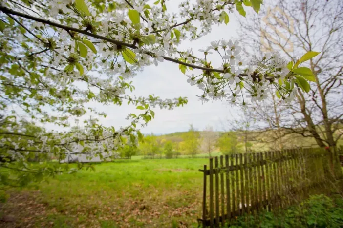 Prodej zahrady, Smolnice, 2370 m2