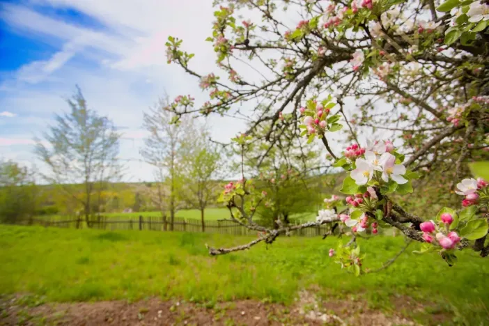 Prodej zahrady, Smolnice, 2370 m2