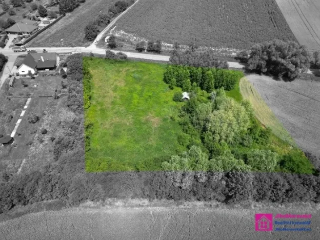 Prodej pozemku pro bydlení, Diváky, 7284 m2