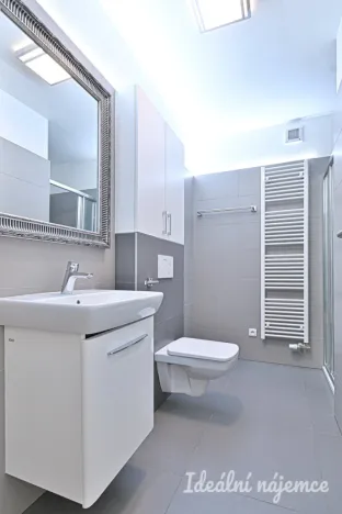 Pronájem bytu 2+kk, Nemojany, 50 m2