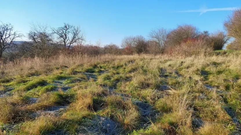 Prodej pozemku pro bydlení, Dřetovice, 1424 m2