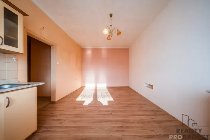 Prodej bytu 2+kk, Bzenec, J. Wolkra, 56 m2