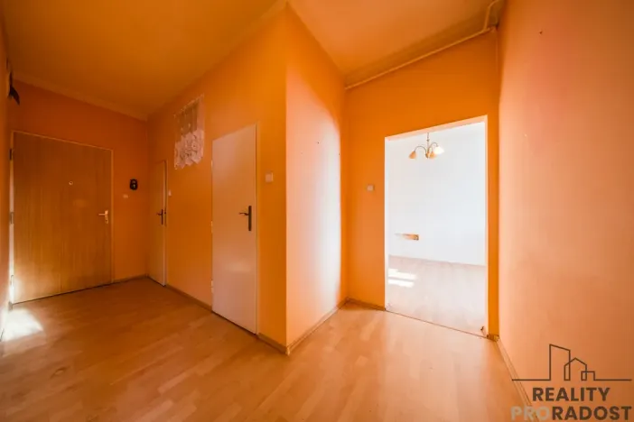 Prodej bytu 2+kk, Bzenec, J. Wolkra, 56 m2