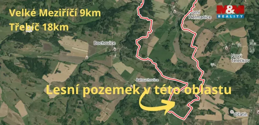 Prodej lesa, Horní Heřmanice, 31116 m2