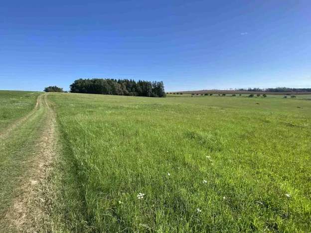 Prodej pole, Křešín, 6536 m2