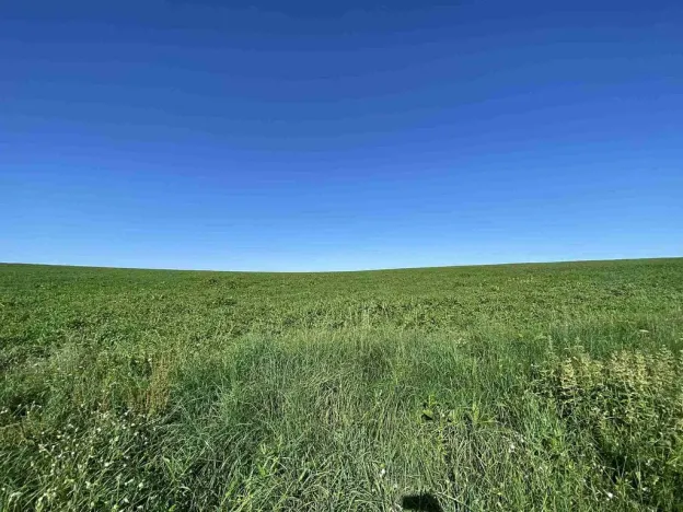 Prodej pole, Křešín, 6536 m2