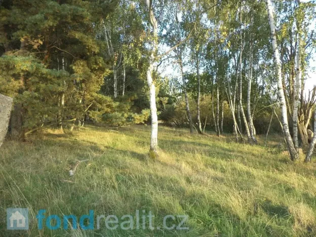 Prodej pole, Žďár, 7261 m2