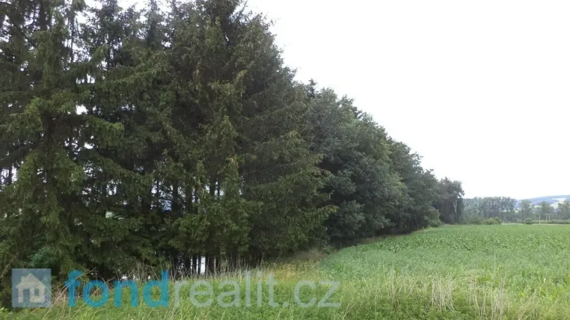 Prodej pozemku, Třebařov, 4992 m2