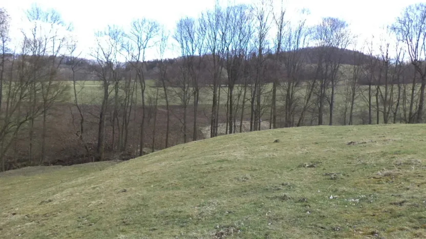 Prodej pozemku, Heřmanov - Fojtovice, 4633 m2