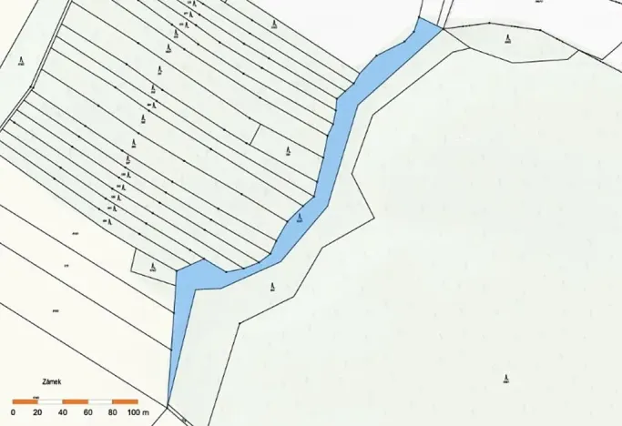 Prodej lesa, Dolní Vilémovice, 5435 m2