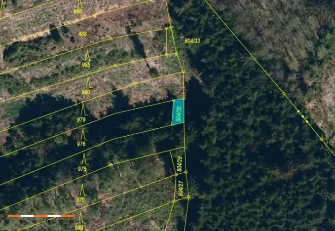 Prodej lesa, Dolní Cerekev, 11509 m2