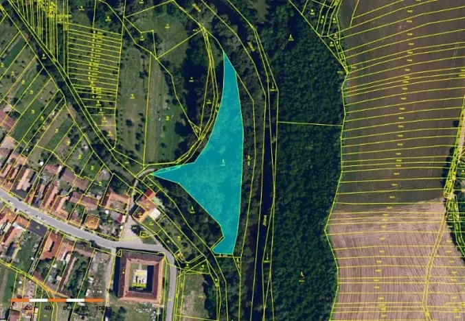 Prodej lesa, Ivančice, 7188 m2