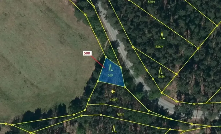 Dražba lesa, Náměšť nad Oslavou, 177 m2