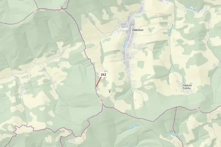 Dražba lesa, Zděchov, 273 m2