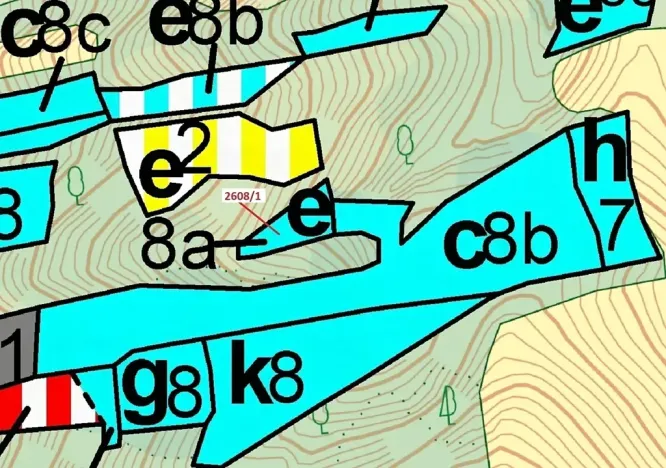 Dražba lesa, Zděchov, 481 m2