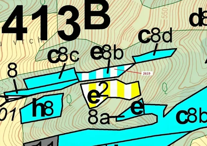 Dražba lesa, Zděchov, 867 m2