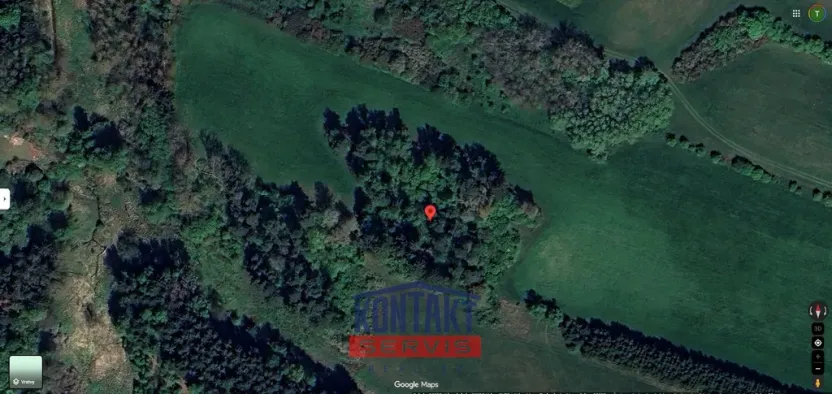 Prodej lesa, Strážek - Jemnice, 2666 m2